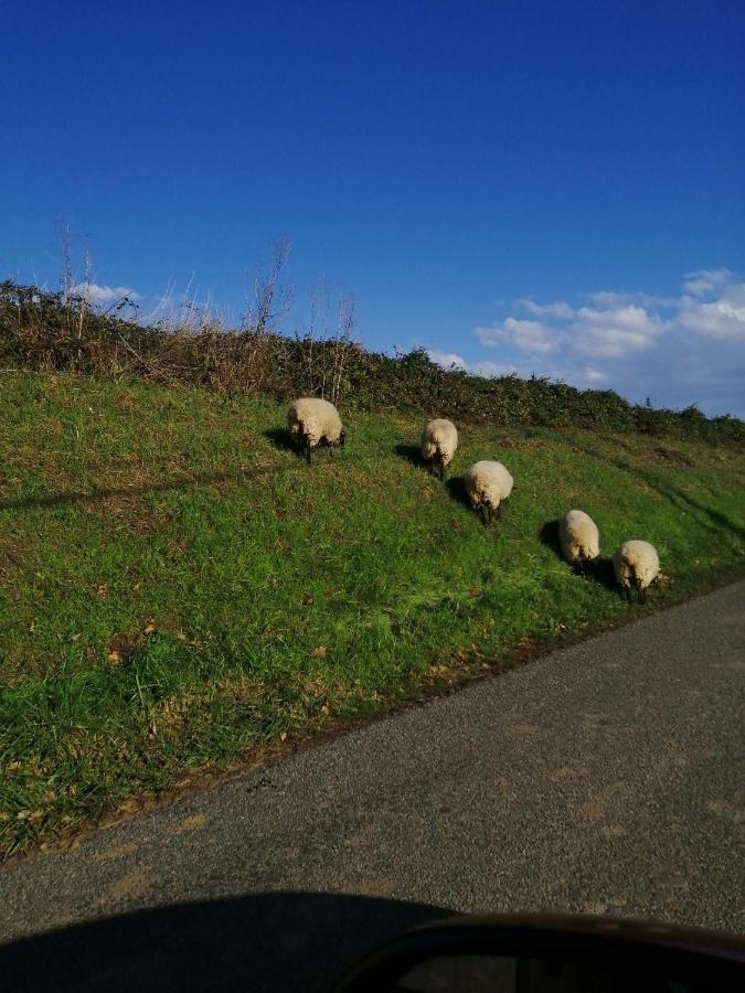 Au Repos Du VergerCouvrelles エクステリア 写真